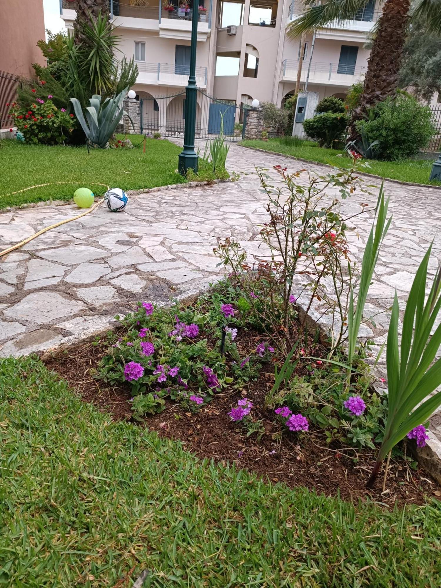 Casa Trizoni Nikiana Διαμέρισμα Εξωτερικό φωτογραφία
