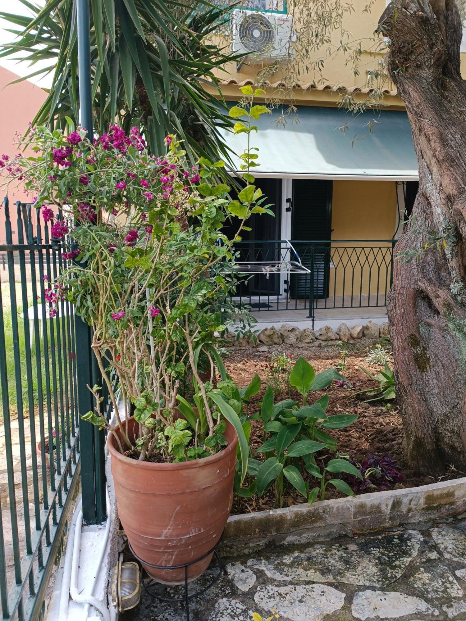 Casa Trizoni Nikiana Διαμέρισμα Εξωτερικό φωτογραφία