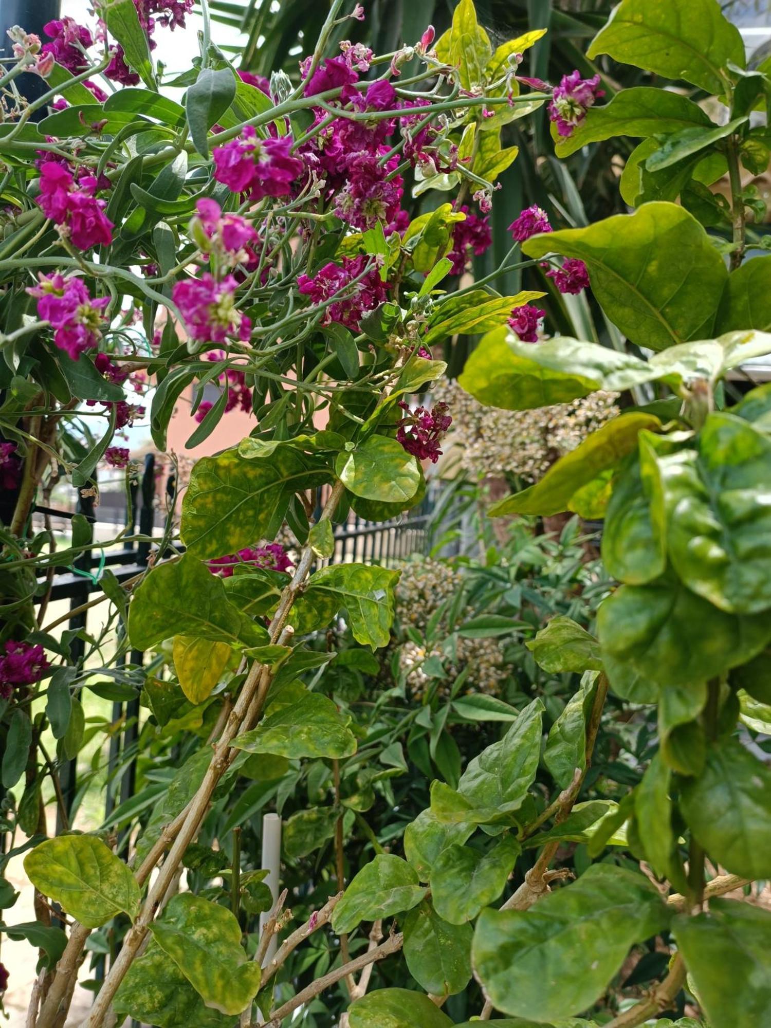Casa Trizoni Nikiana Διαμέρισμα Εξωτερικό φωτογραφία