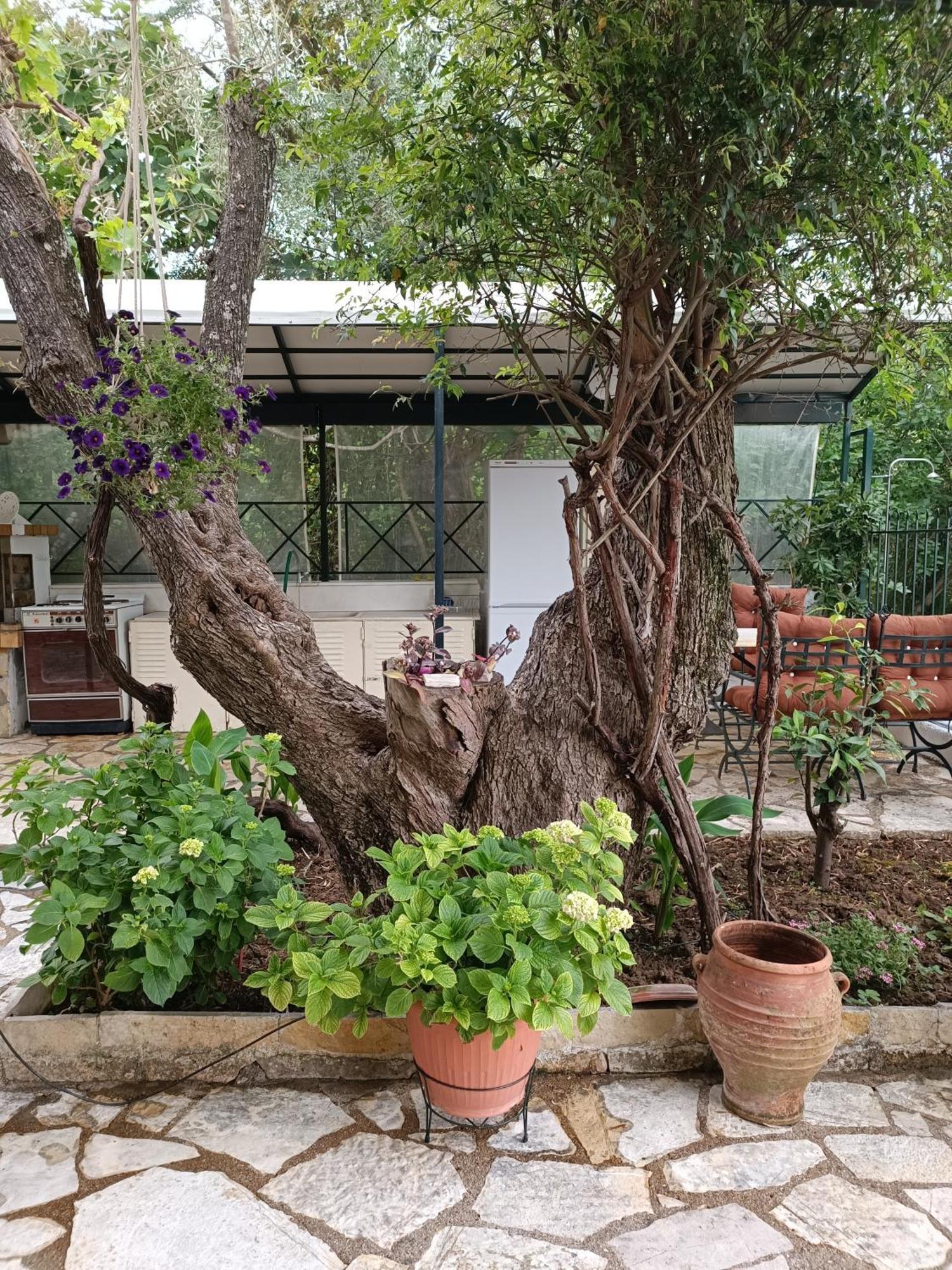 Casa Trizoni Nikiana Διαμέρισμα Εξωτερικό φωτογραφία