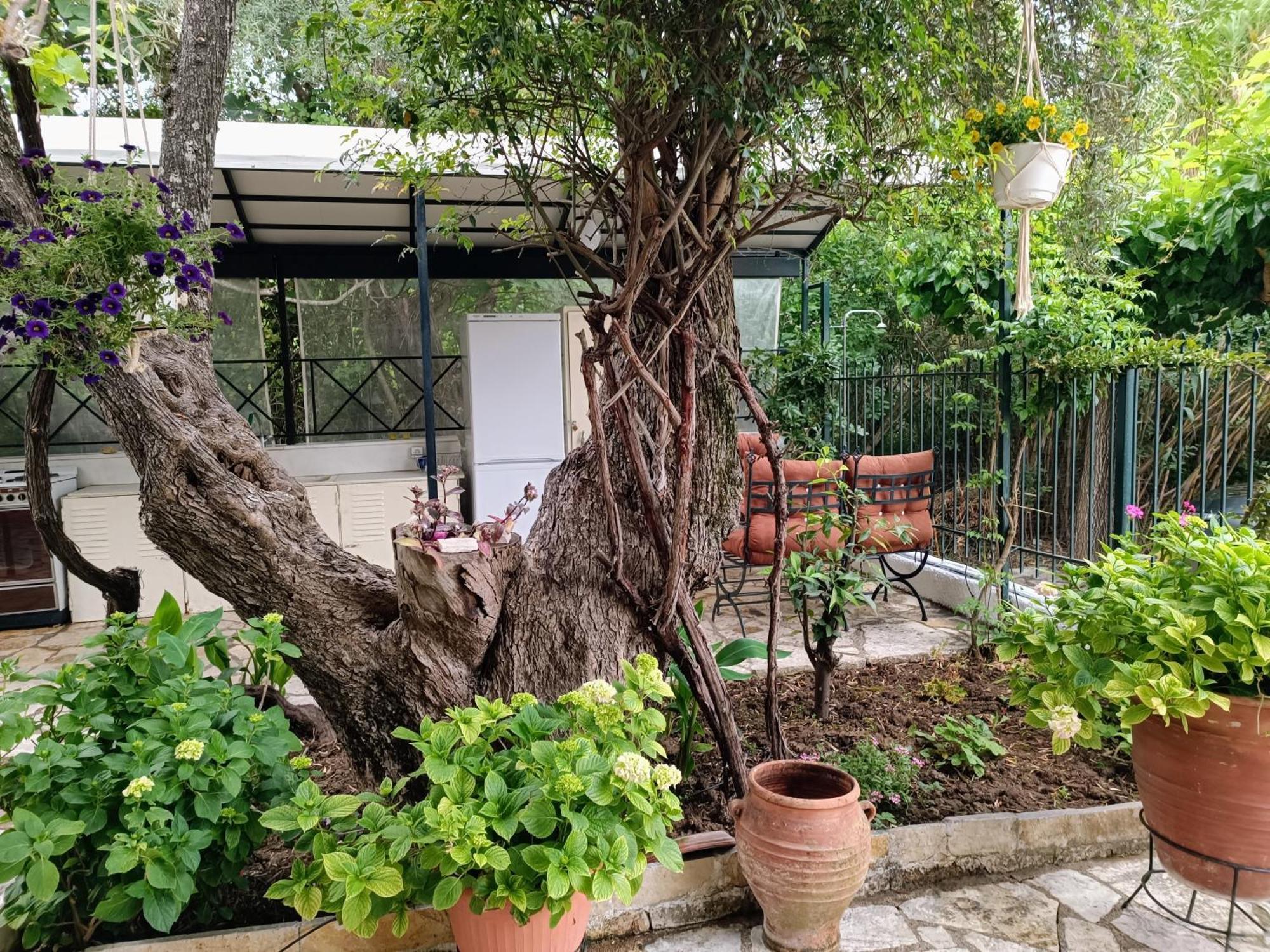 Casa Trizoni Nikiana Διαμέρισμα Εξωτερικό φωτογραφία