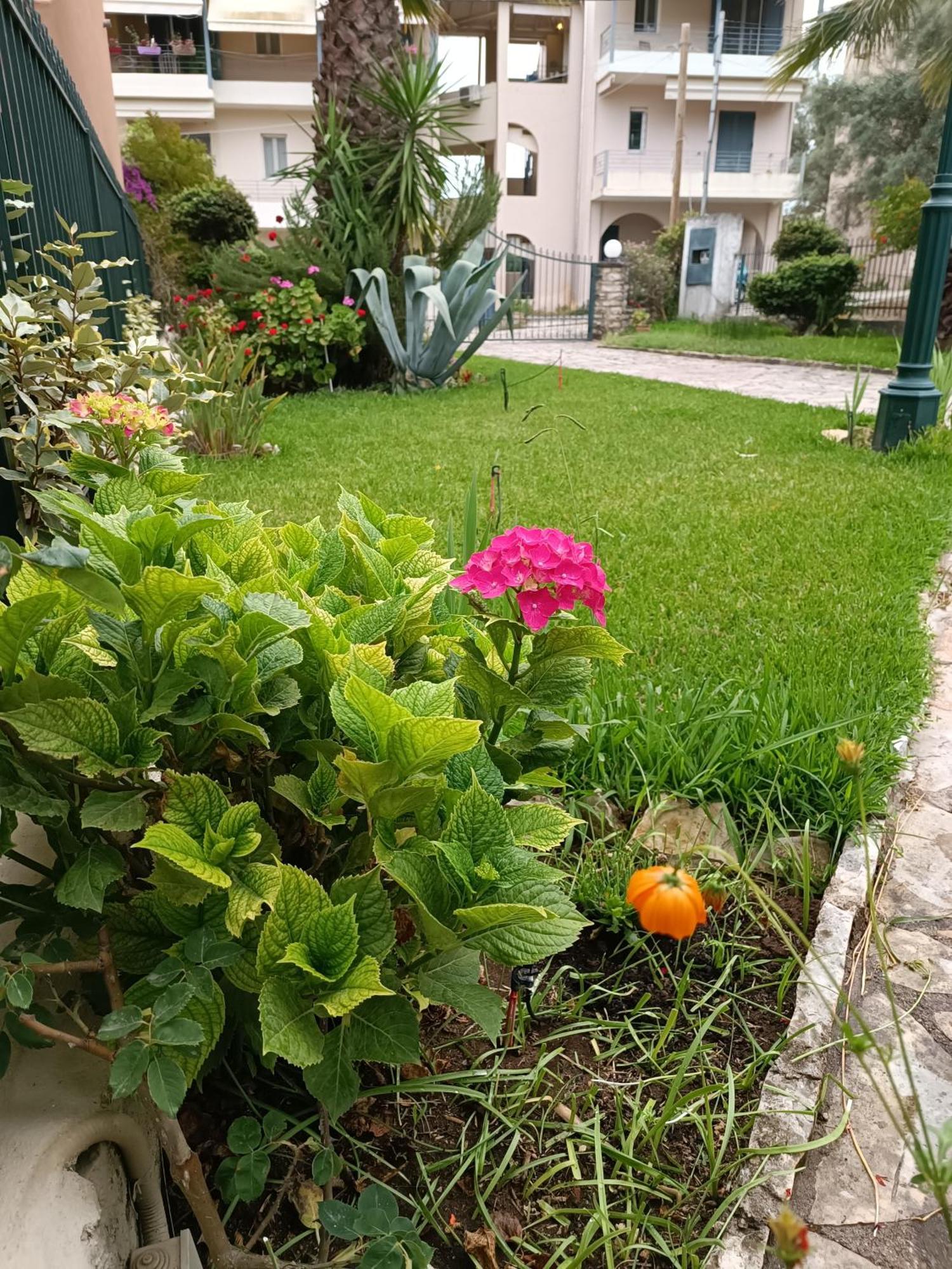 Casa Trizoni Nikiana Διαμέρισμα Εξωτερικό φωτογραφία